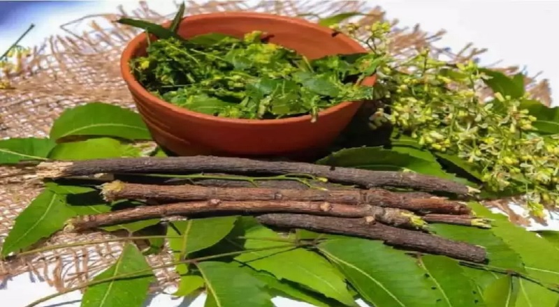 அமெரிக்காவில் பிரசித்தி அடையும் வேப்பங்குச்சி!